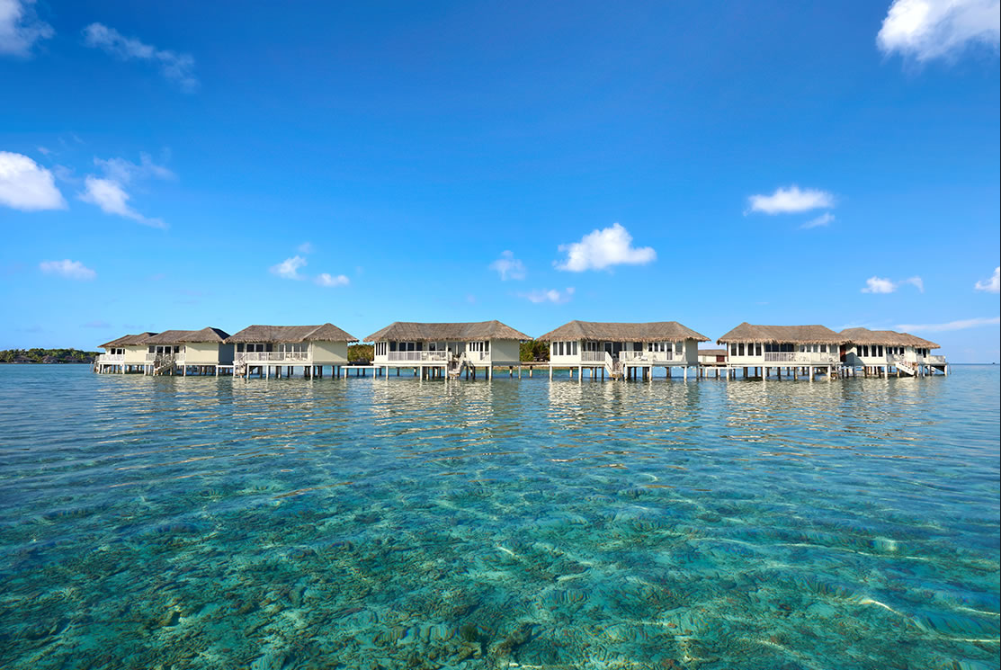 梦幻岛 chaaya island dhonveli