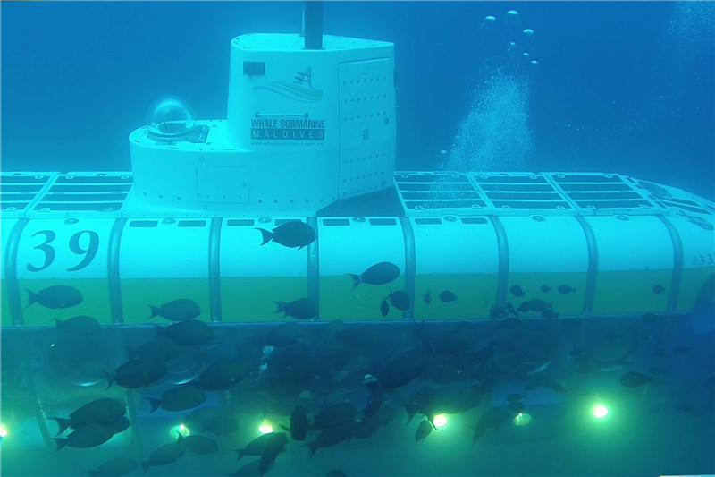 马尔代夫鲸鱼潜艇