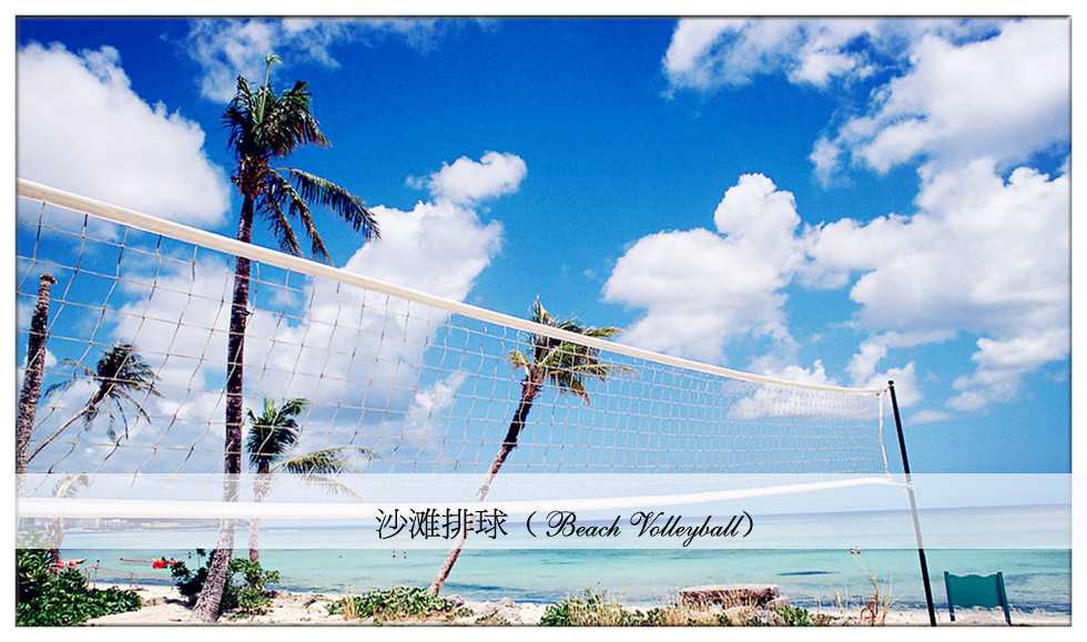 沙滩排球 沙滩排球