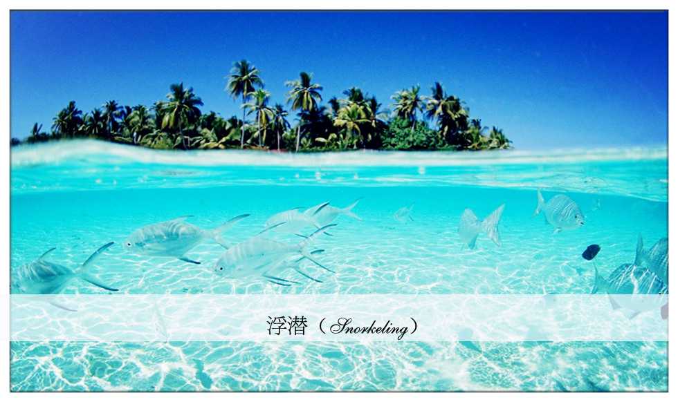 浮潜 浮潜