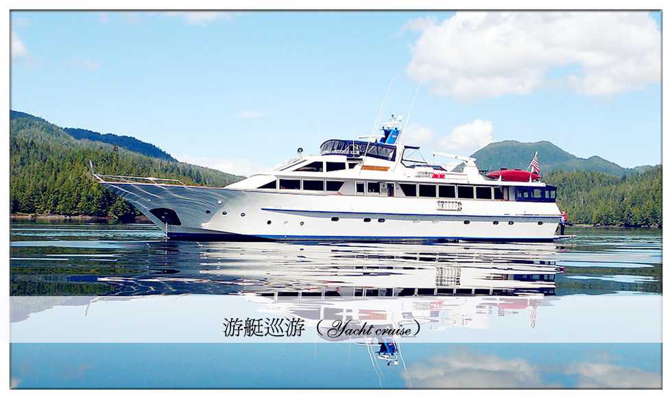 游艇巡游 游艇巡游