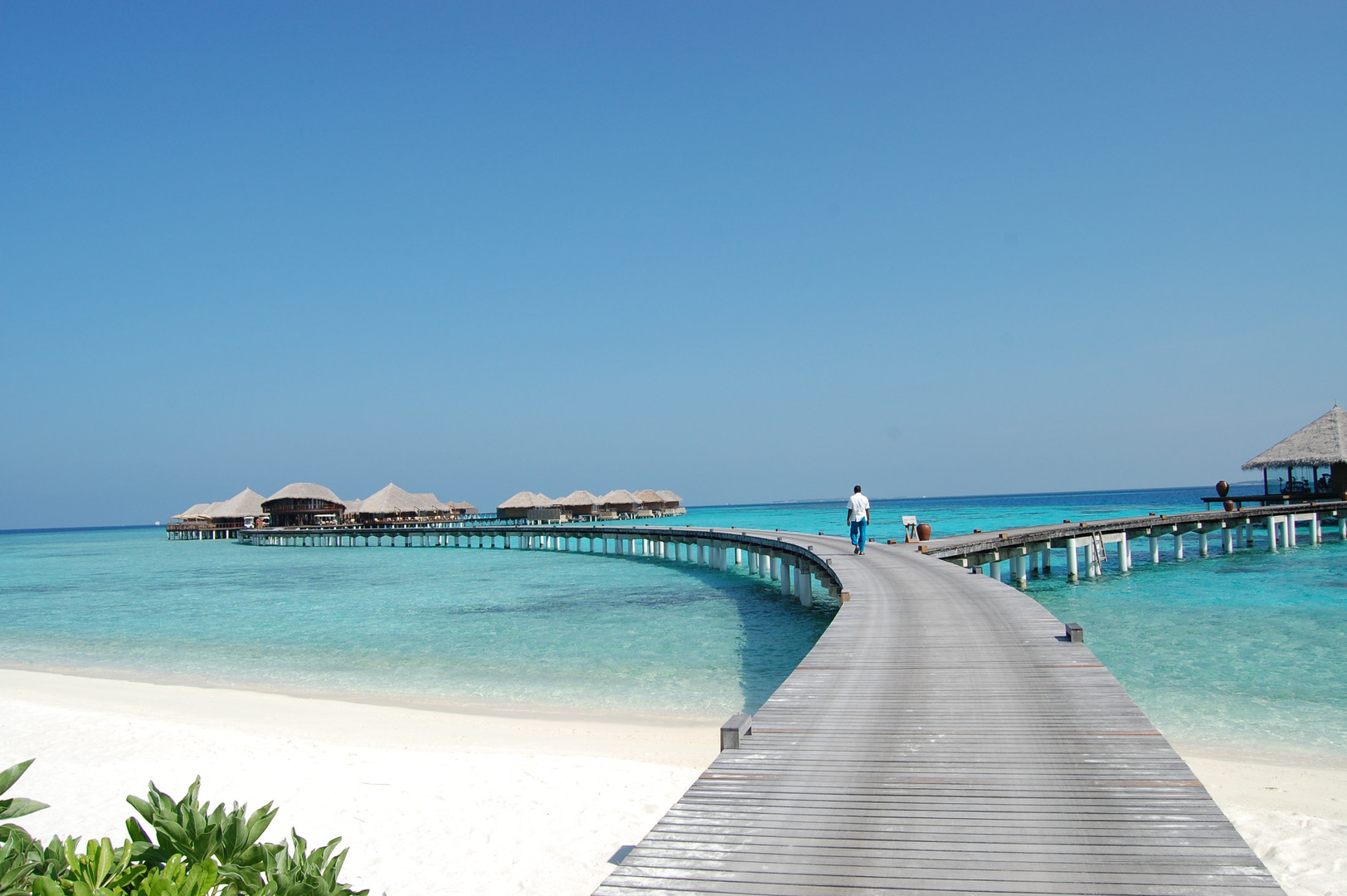 真实的马尔代夫并非梦幻的度假天堂，当地人生活不易甚至不敢生病_国家