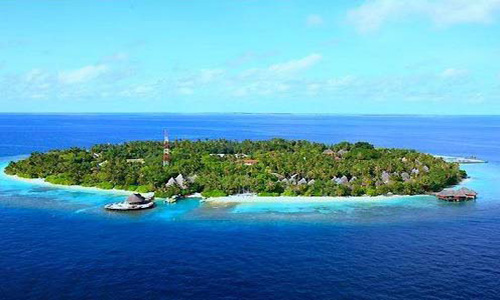 幸福岛 Canareef Resort Maldives