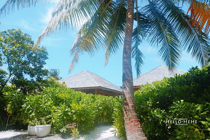芙拉瓦丽岛 Hurawalhi Maldives
