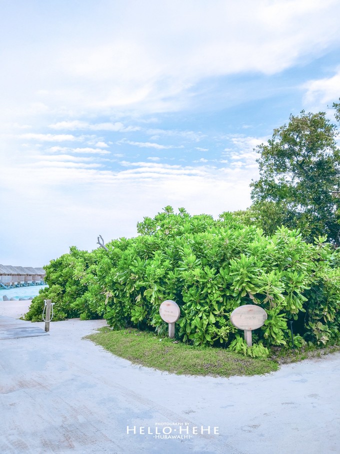 芙拉瓦丽岛 Hurawalhi Maldives