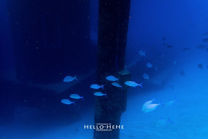芙拉瓦丽岛 Hurawalhi Maldives