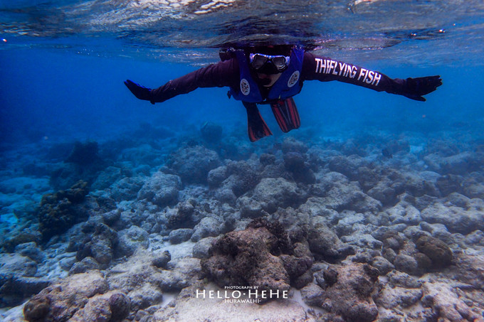 芙拉瓦丽岛 Hurawalhi Maldives