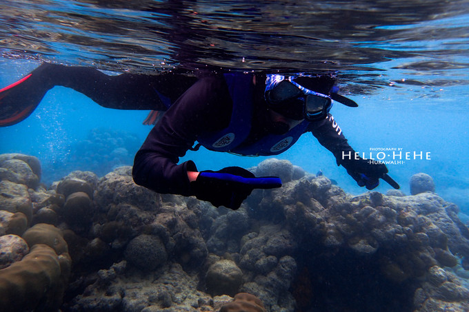 芙拉瓦丽岛 Hurawalhi Maldives