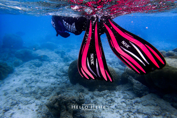 芙拉瓦丽岛 Hurawalhi Maldives