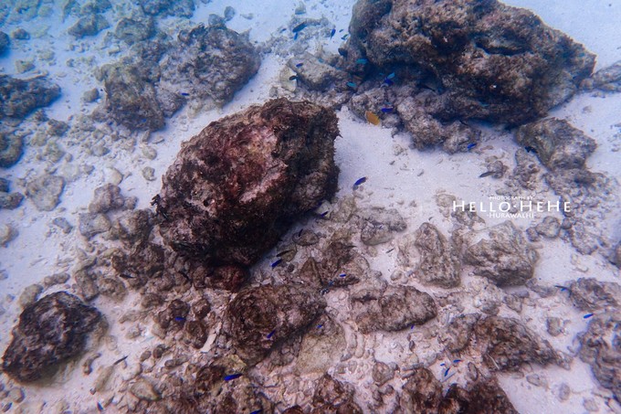 芙拉瓦丽岛 Hurawalhi Maldives