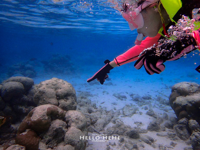 芙拉瓦丽岛 Hurawalhi Maldives