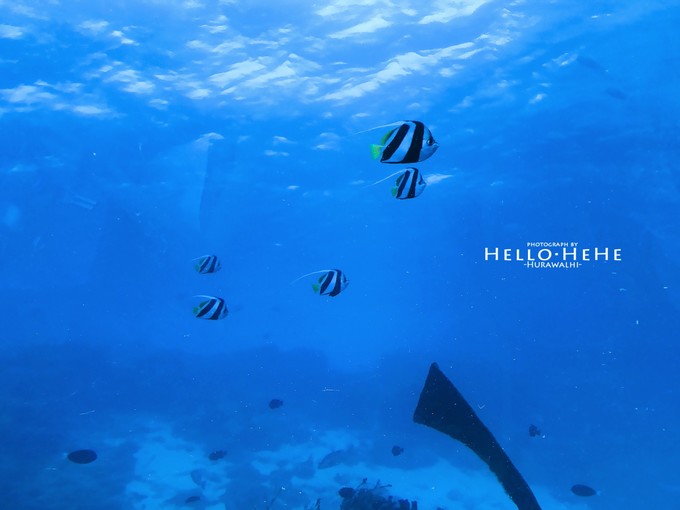 芙拉瓦丽岛 Hurawalhi Maldives