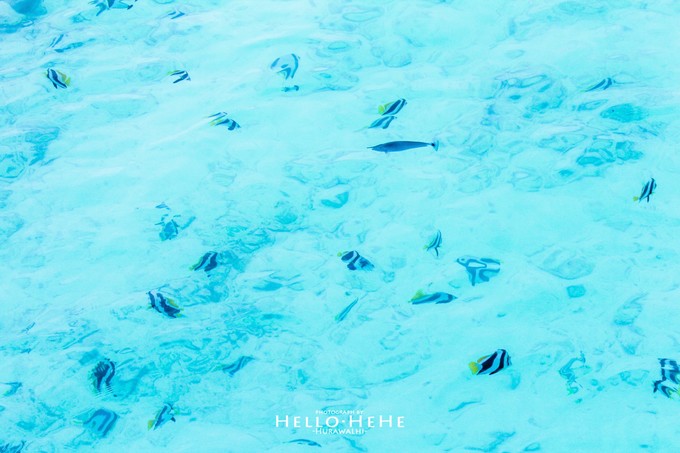 芙拉瓦丽岛 Hurawalhi Maldives