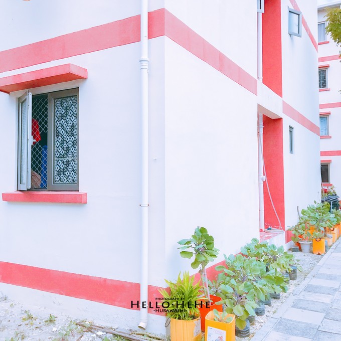 芙拉瓦丽岛 Hurawalhi Maldives
