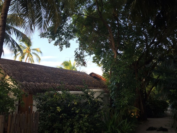 马富士瓦鲁岛 maafushivaru