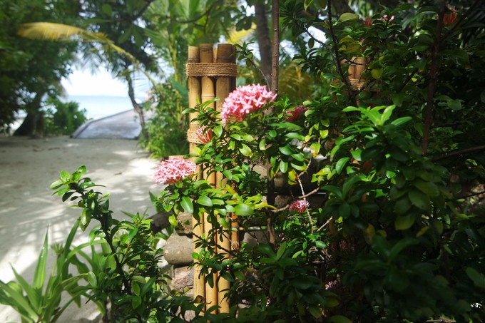 马富士瓦鲁岛 maafushivaru