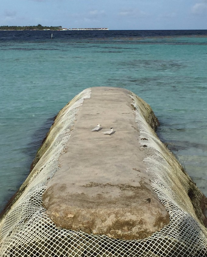马富士瓦鲁岛 maafushivaru