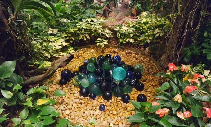 马富士瓦鲁岛 maafushivaru