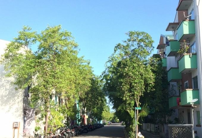 马富士瓦鲁岛 maafushivaru