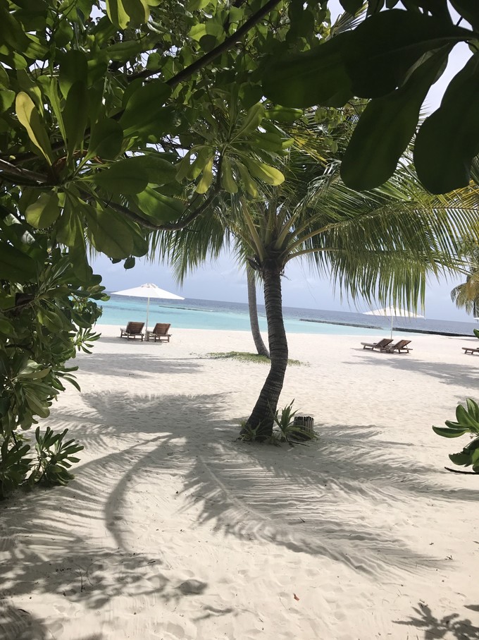 马富士瓦鲁岛 Maafushivaru