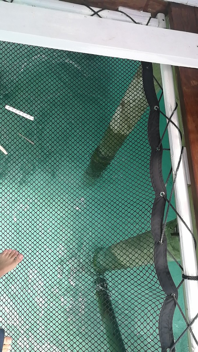 ozen奥臻岛