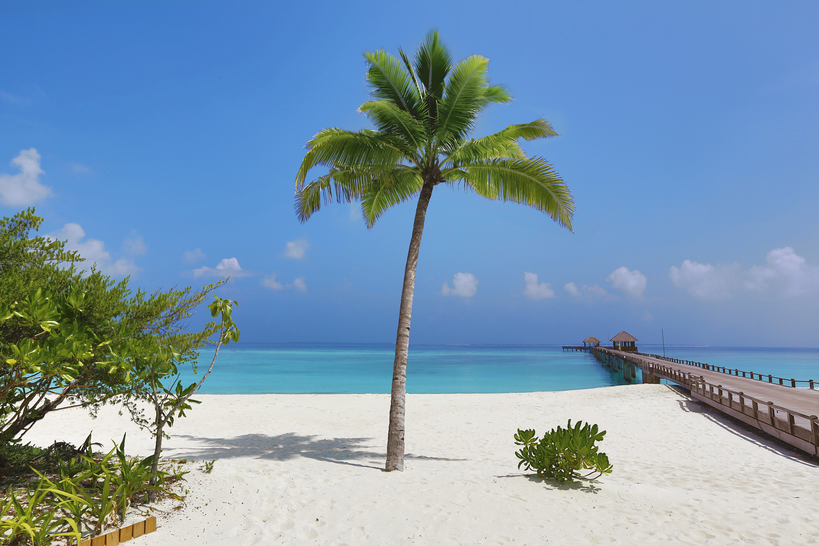 在马尔代夫体验日光浴-七彩假期