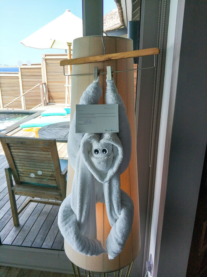 20180320_162645_024.jpg