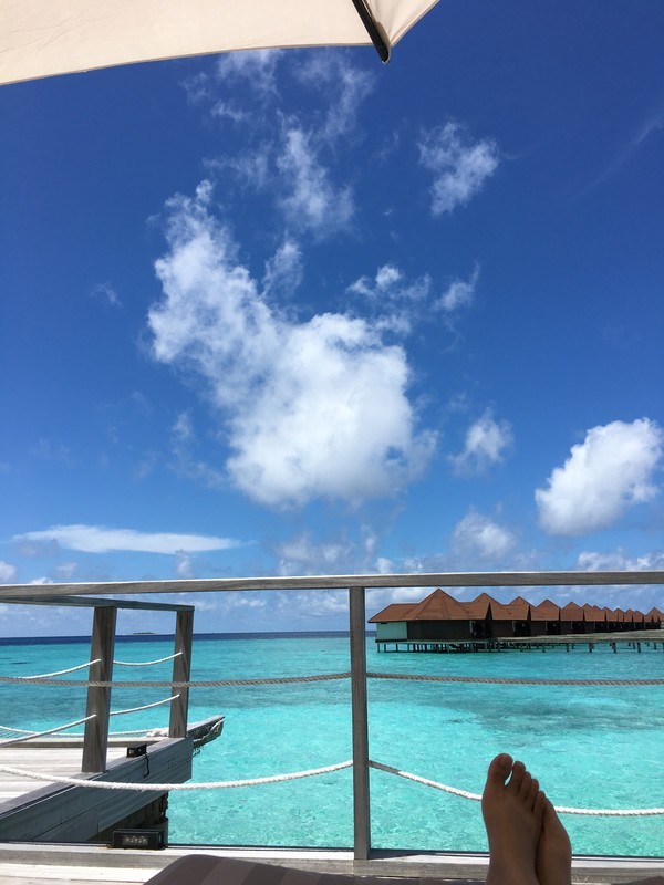 20190110_150033_347.jpeg