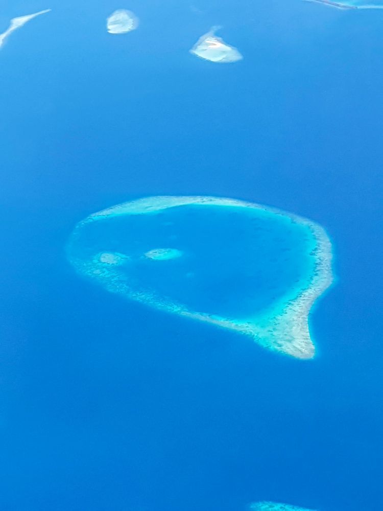 20190318_102509_013.jpg