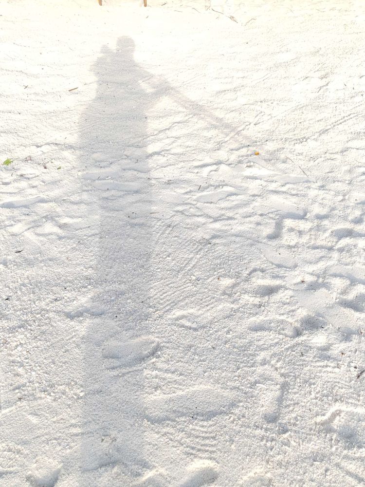 20190318_102509_046.jpg