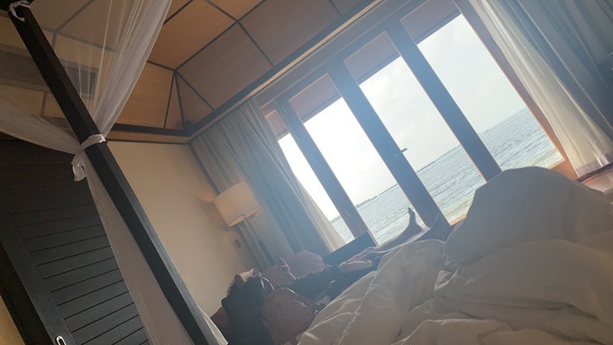20190404_150109_058.jpeg