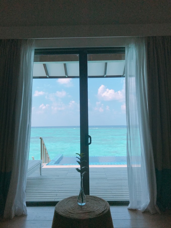 20190404_162651_452.jpeg