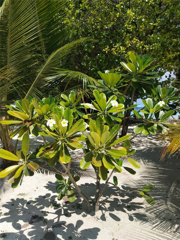20190518_103601_063.jpg