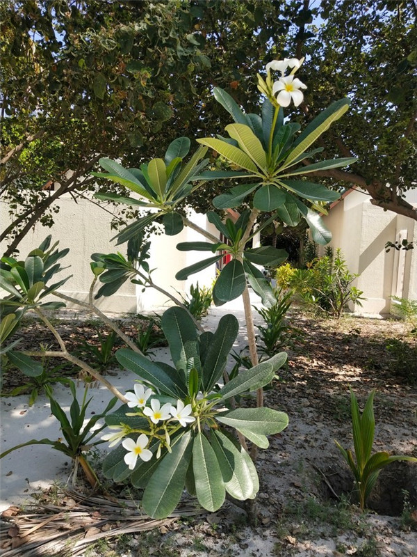 20190518_103601_246.jpg