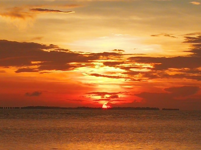 20190707_164240_272.jpg