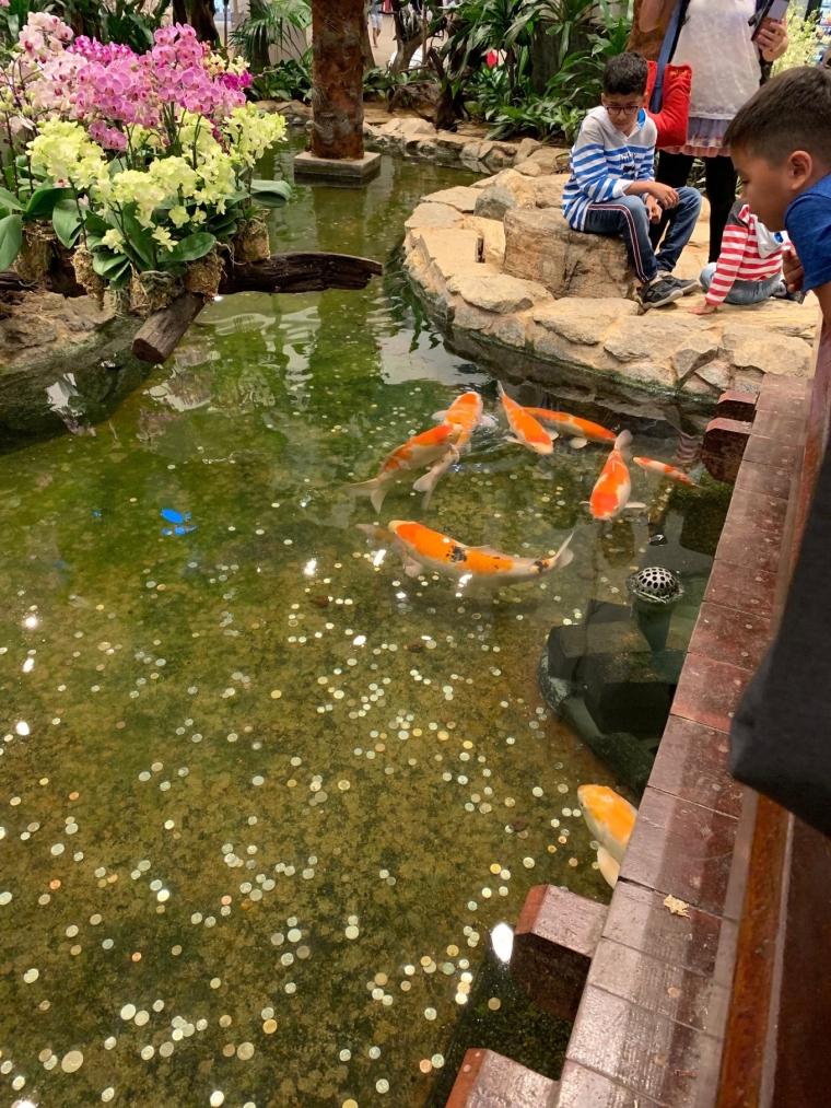20190715_114436_014.jpg