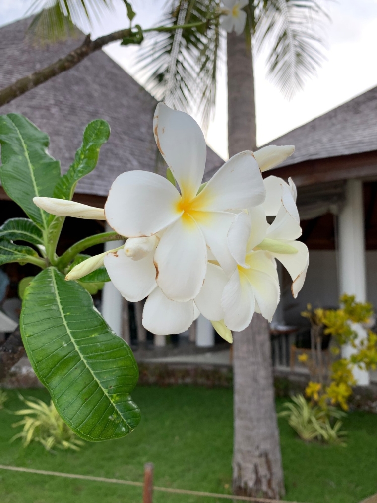 20190715_114436_056.jpg