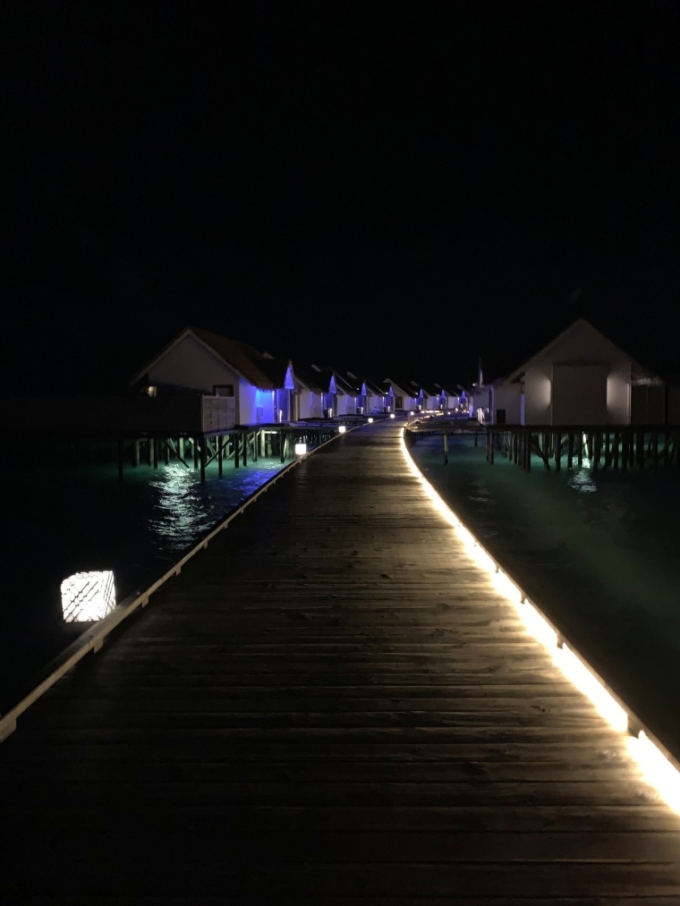 20190715_114436_094.jpg