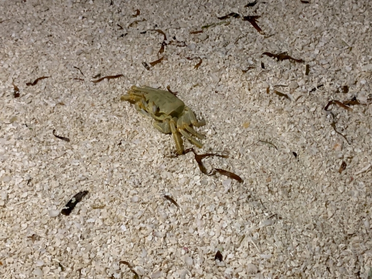 20190715_114436_096.jpg