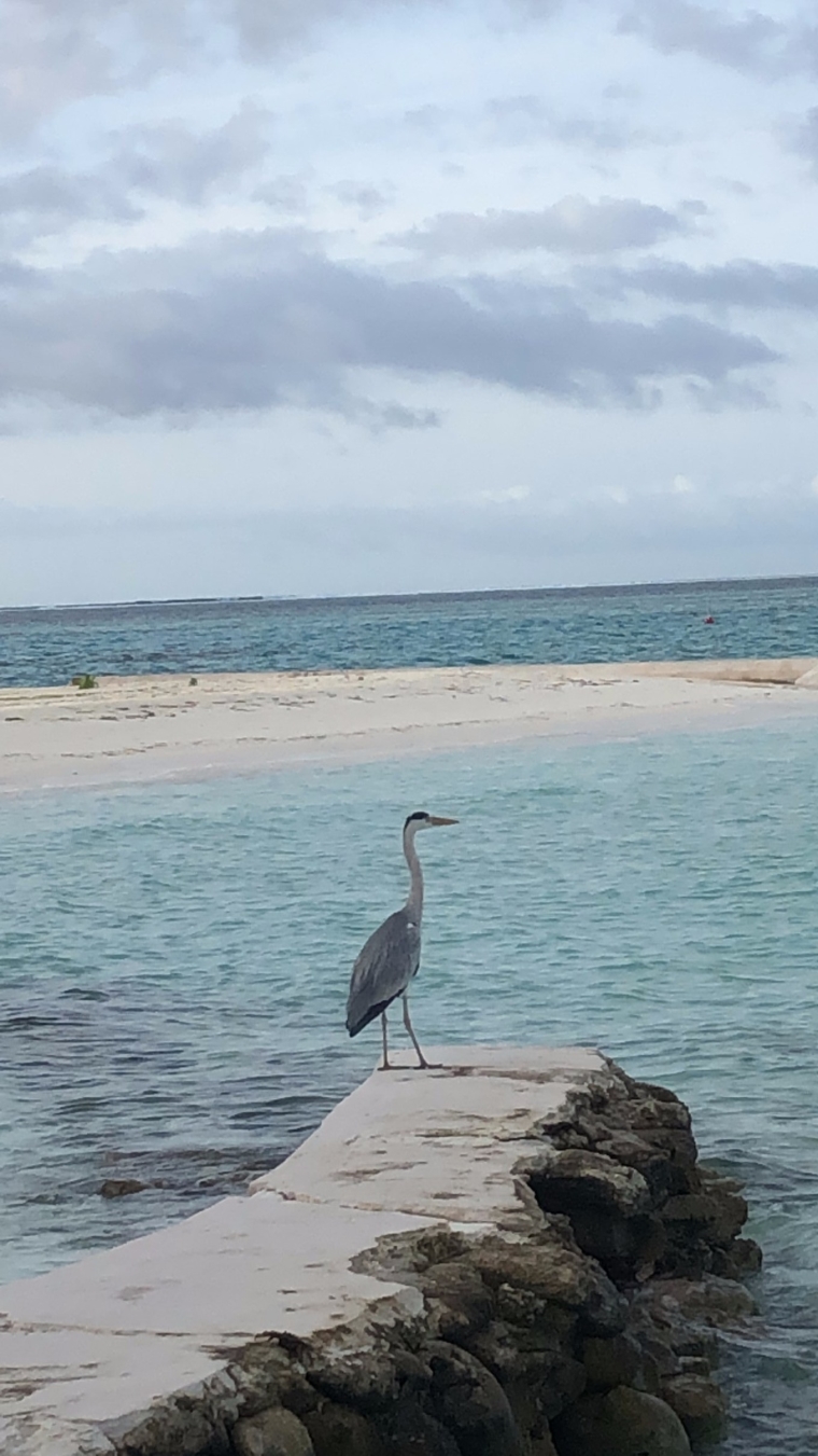 20190715_114436_111.jpg
