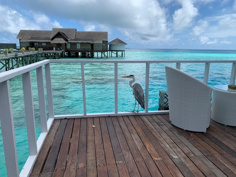 20190715_114436_160.jpg