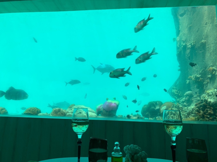20190715_114436_167.jpg