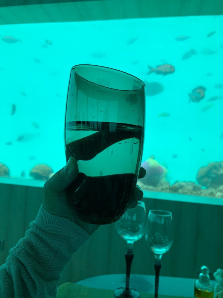 20190715_114436_168.jpg