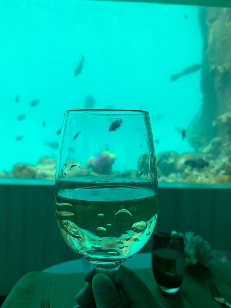 20190715_114436_169.jpg