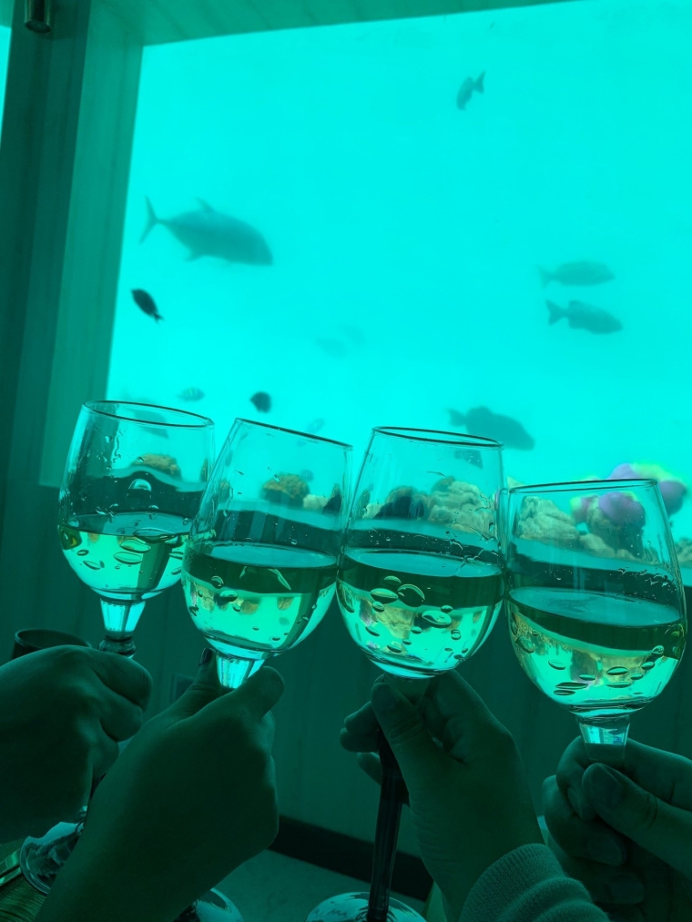 20190715_114436_170.jpg