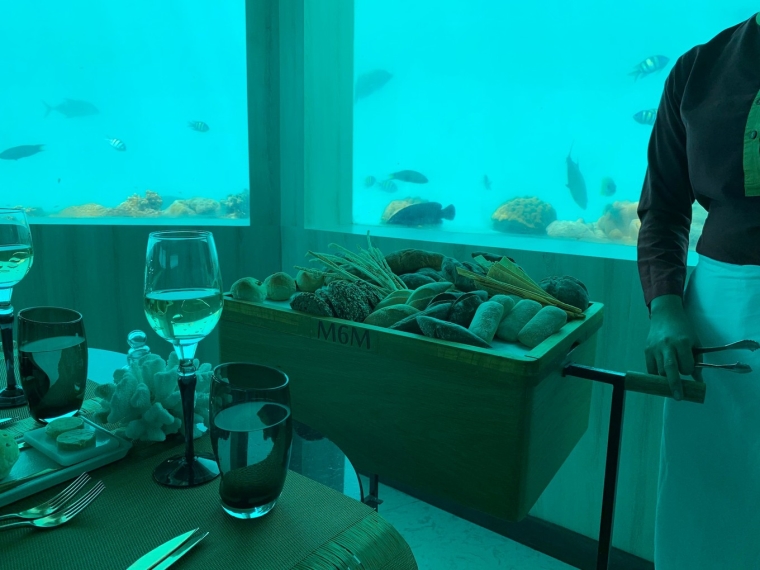 20190715_114436_171.jpg