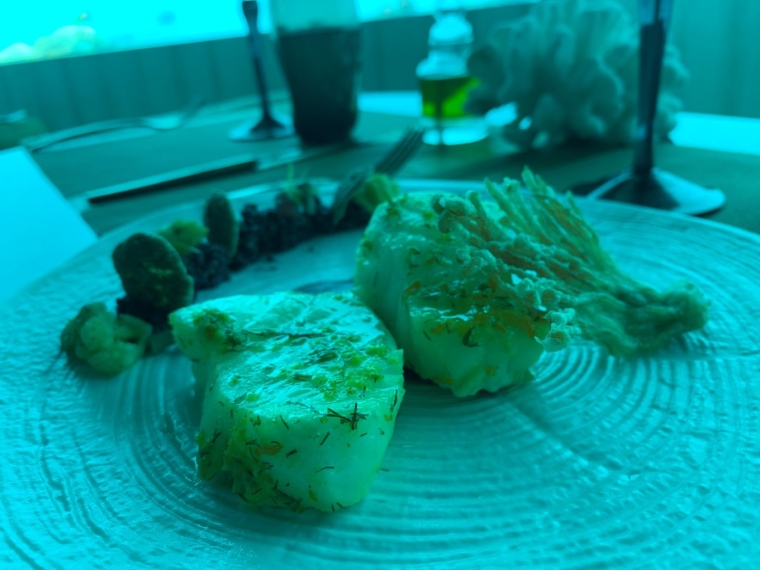 20190715_114436_179.jpg