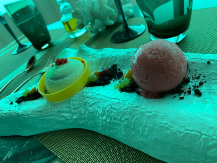 20190715_114436_180.jpg