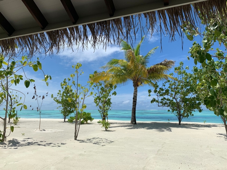 20190715_114436_198.jpg