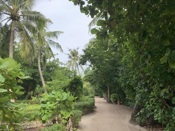 20191109_183501_119.png